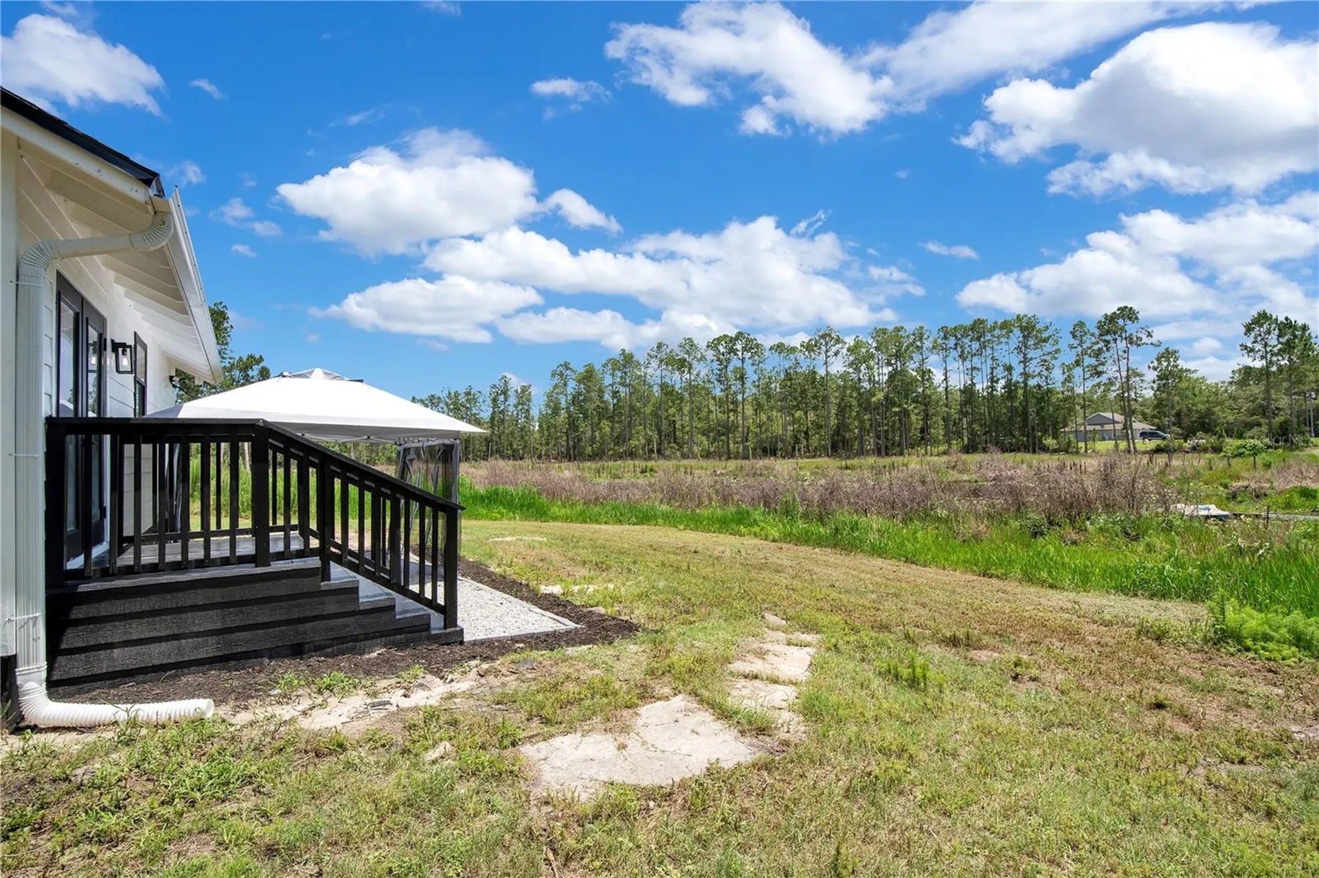 42111 Chinaberry Court Eustis FL 32736