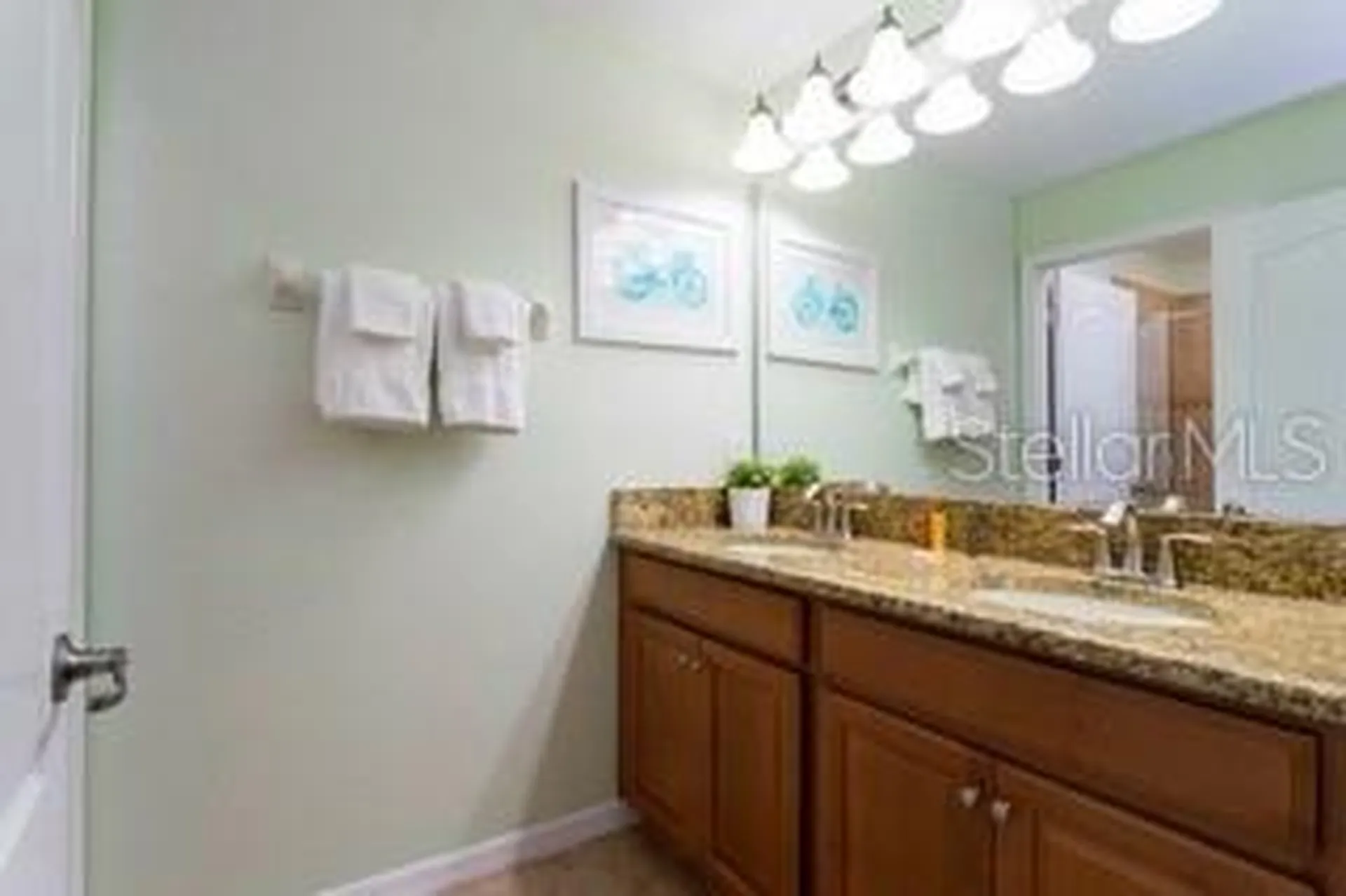 2959 Banana Palm Drive Kissimmee FL 34747