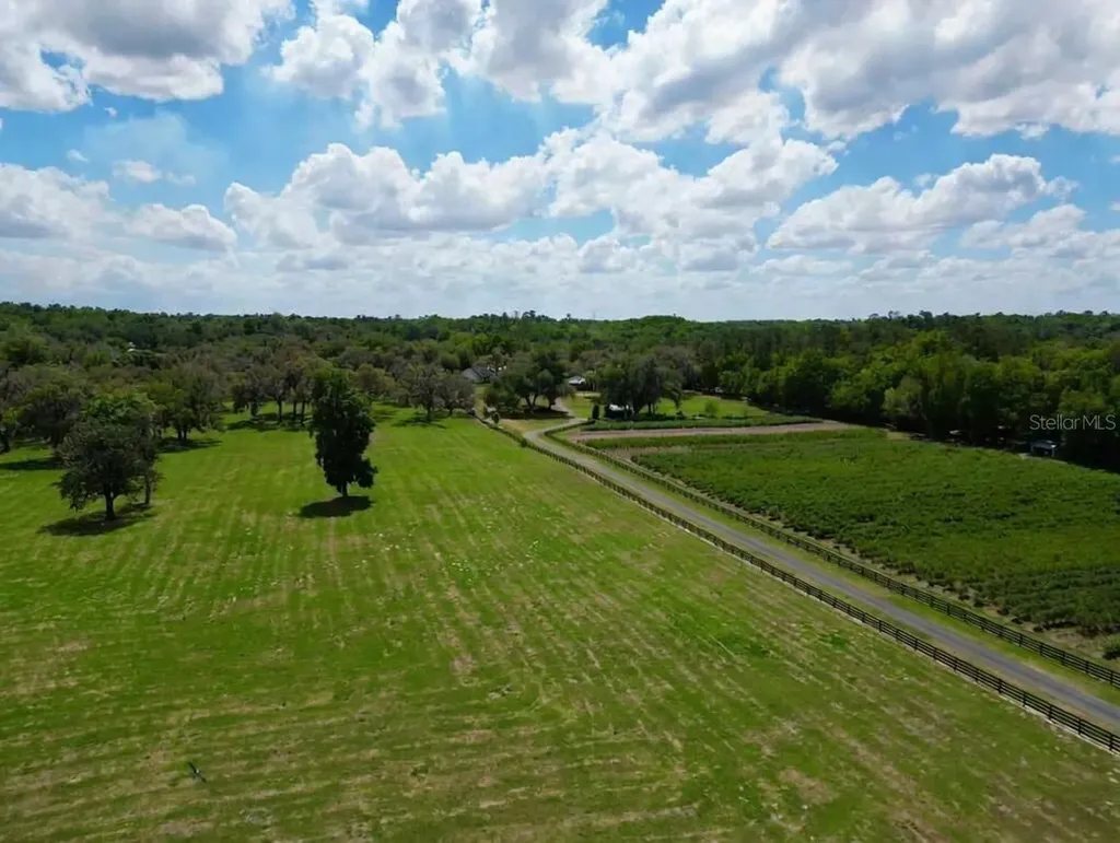 Tbd SE 115th Street Belleview FL 34420