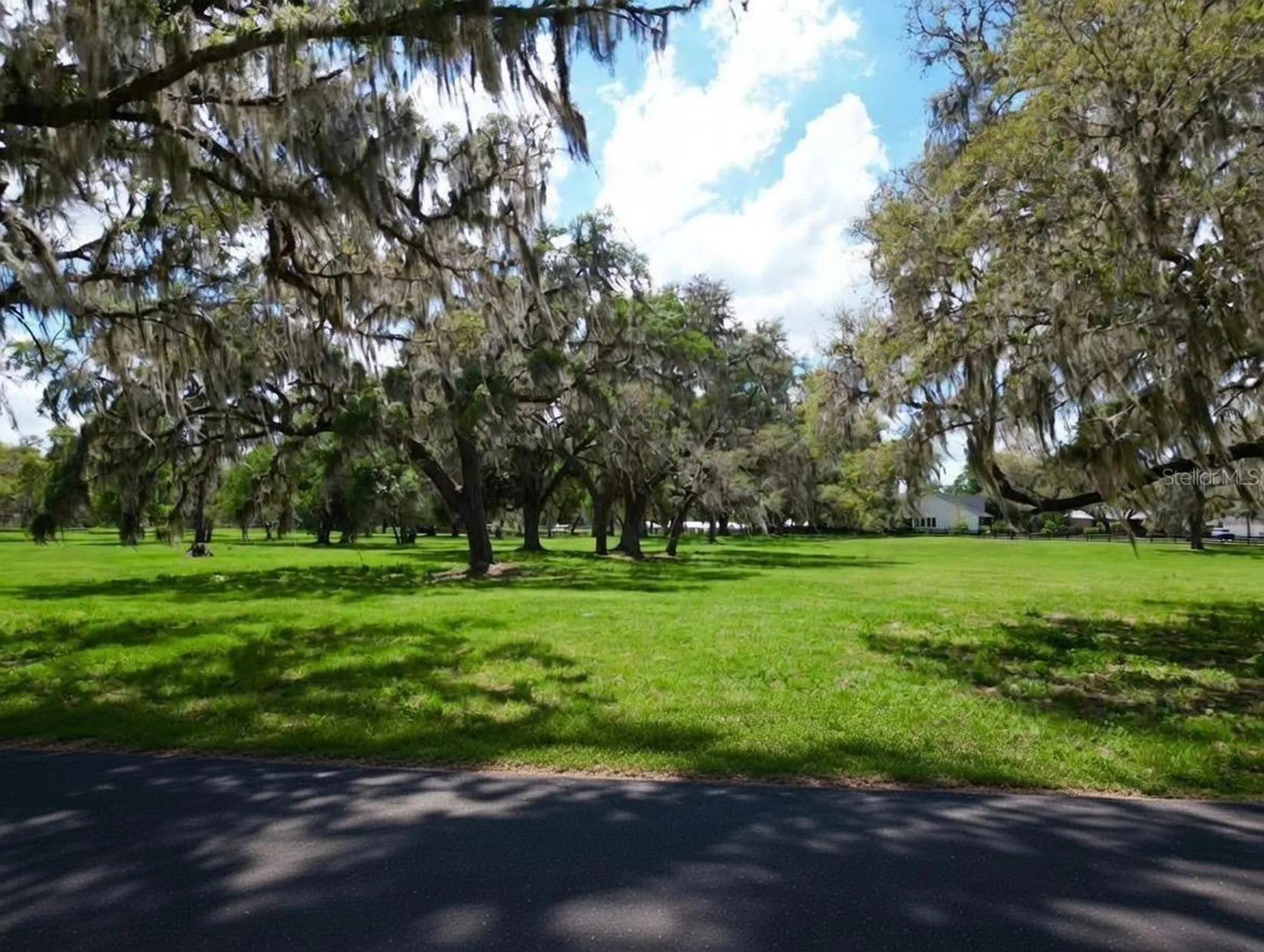 Tbd SE 115th Street Belleview FL 34420
