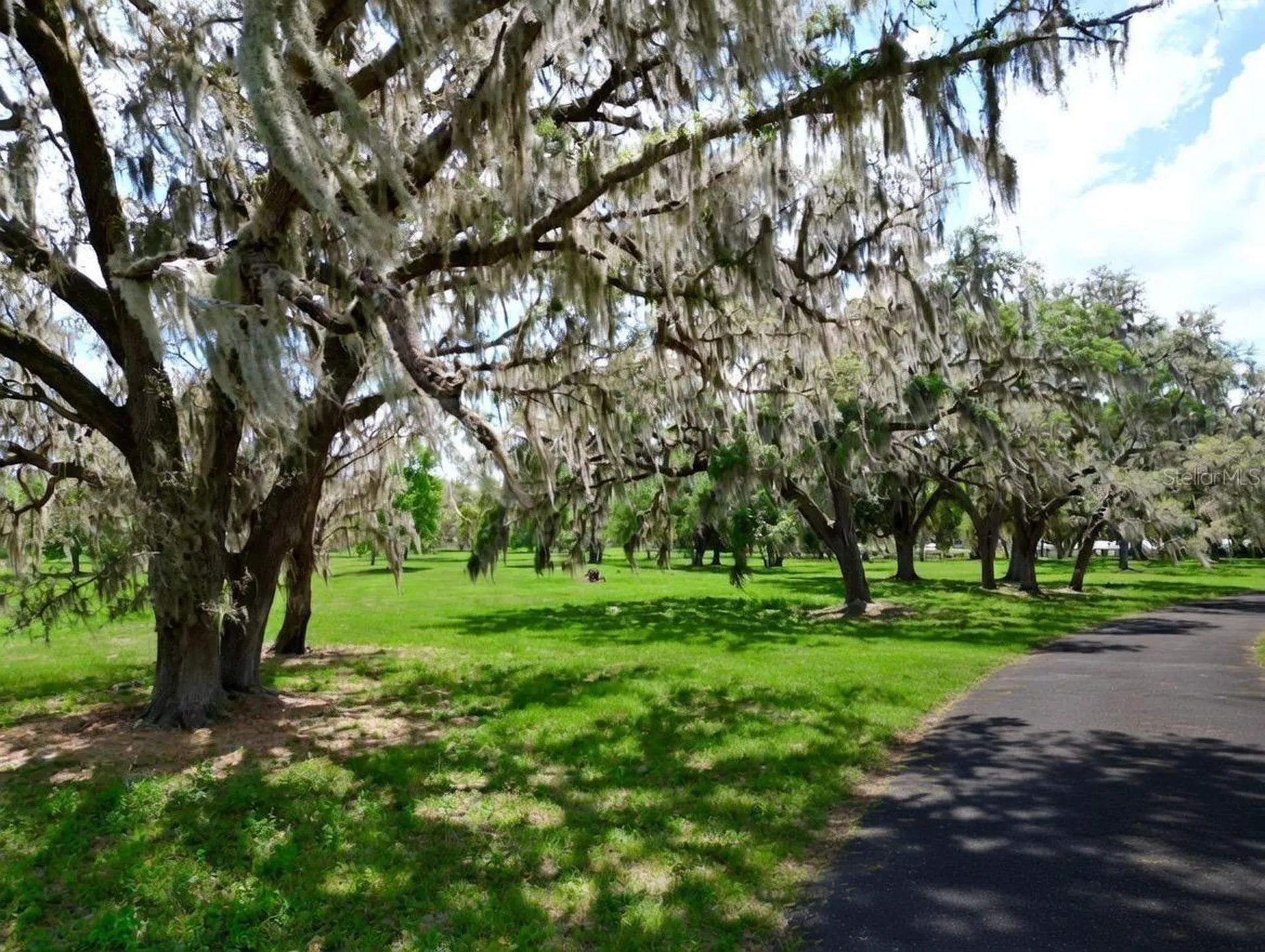 Tbd SE 115th Street Belleview FL 34420