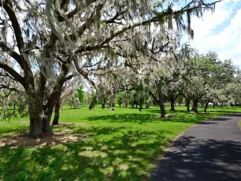 Tbd SE 115th Street Belleview FL 34420