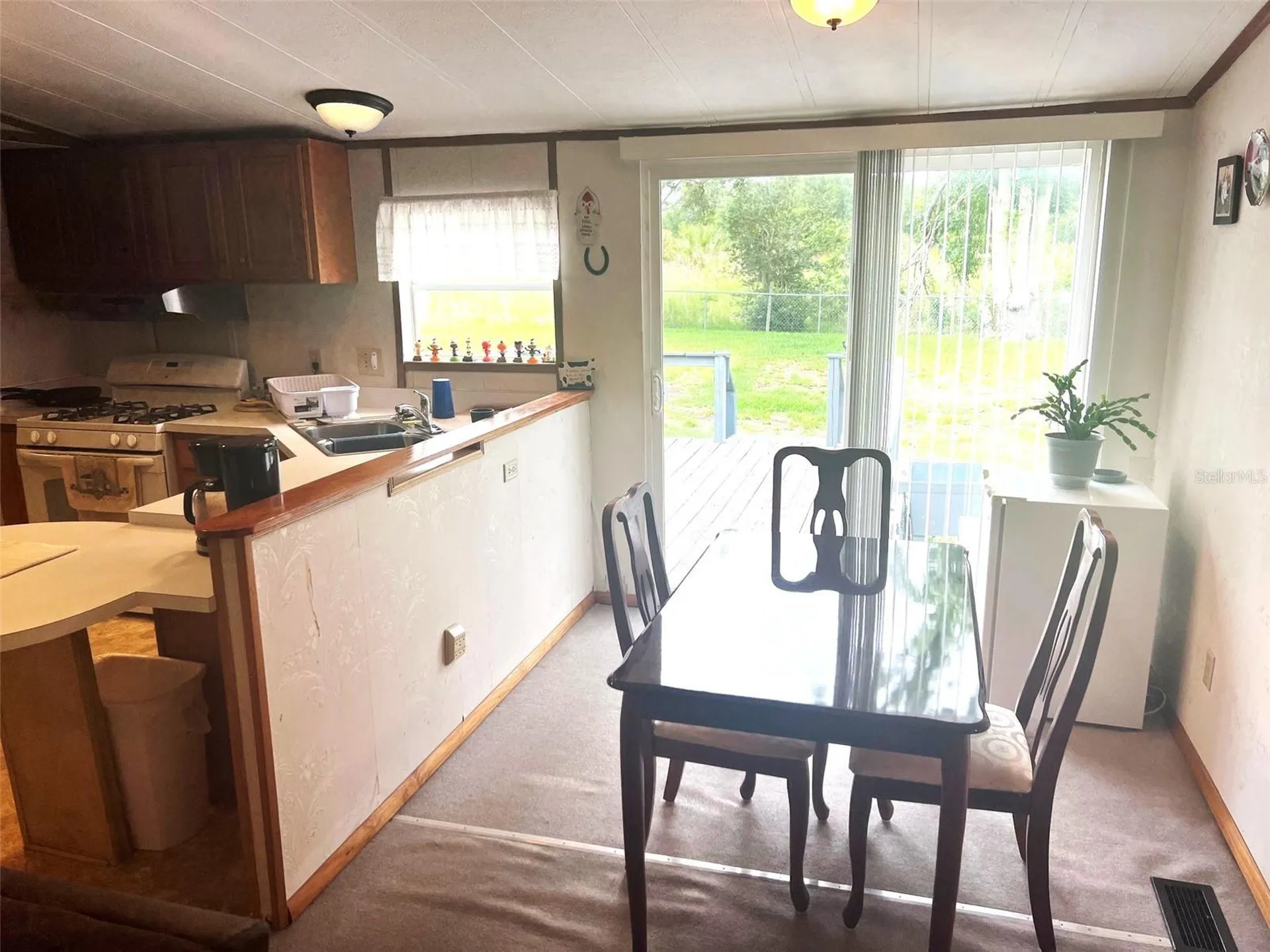 4538 Oak Street Fruitland Park FL 34731