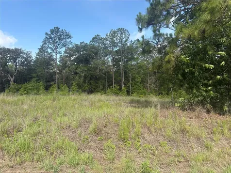 TBD SW 152 Court Ocala FL 34481