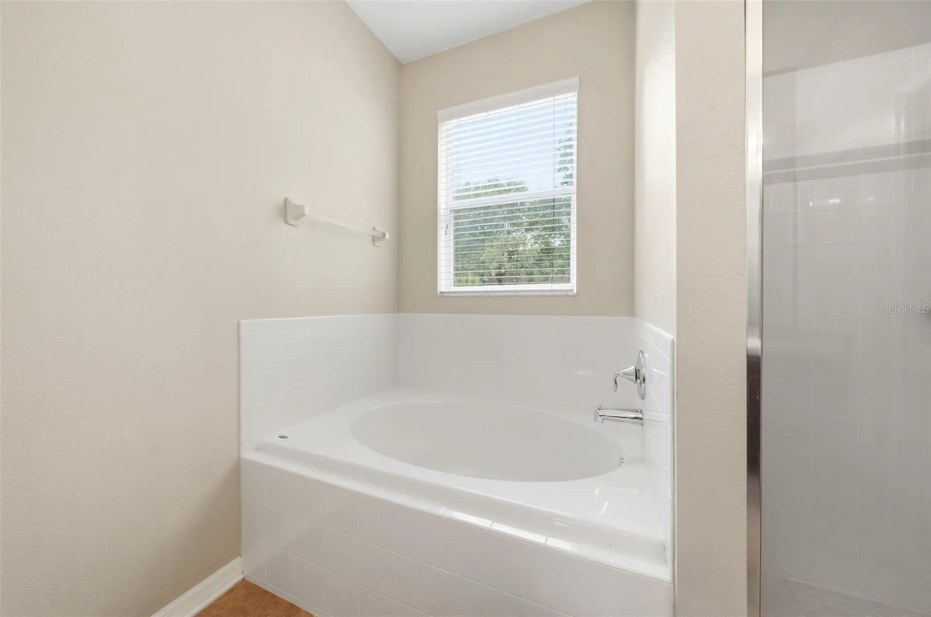 424 Misty Oaks Lane Eustis FL 32736
