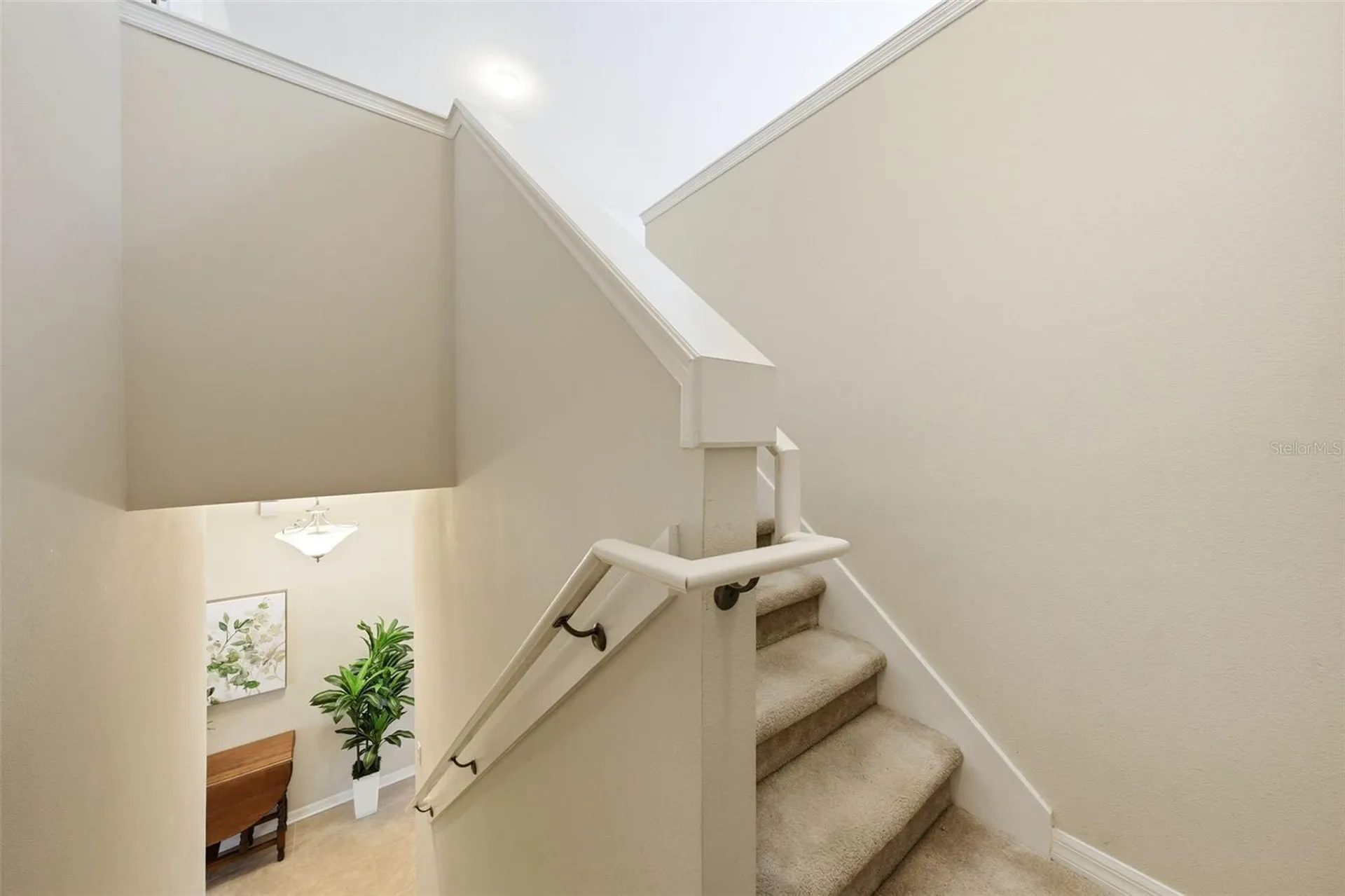 424 Misty Oaks Lane Eustis FL 32736