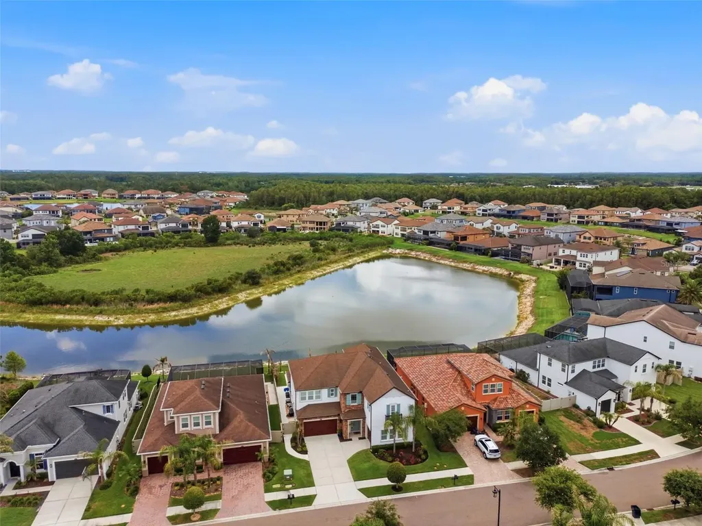 29357 Picana Lane Wesley Chapel FL 33543