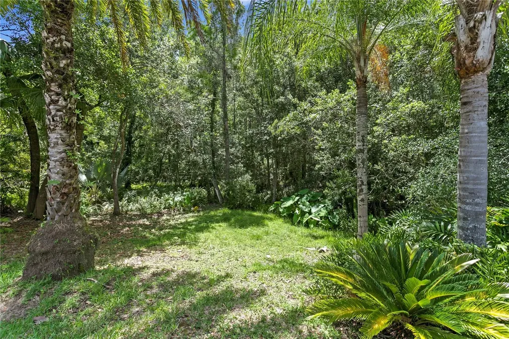 6123 Savoy Circle Lutz FL 33558