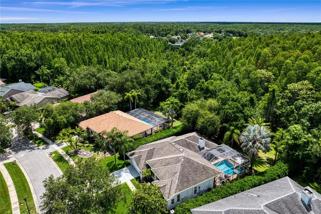 6123 Savoy Circle Lutz FL 33558