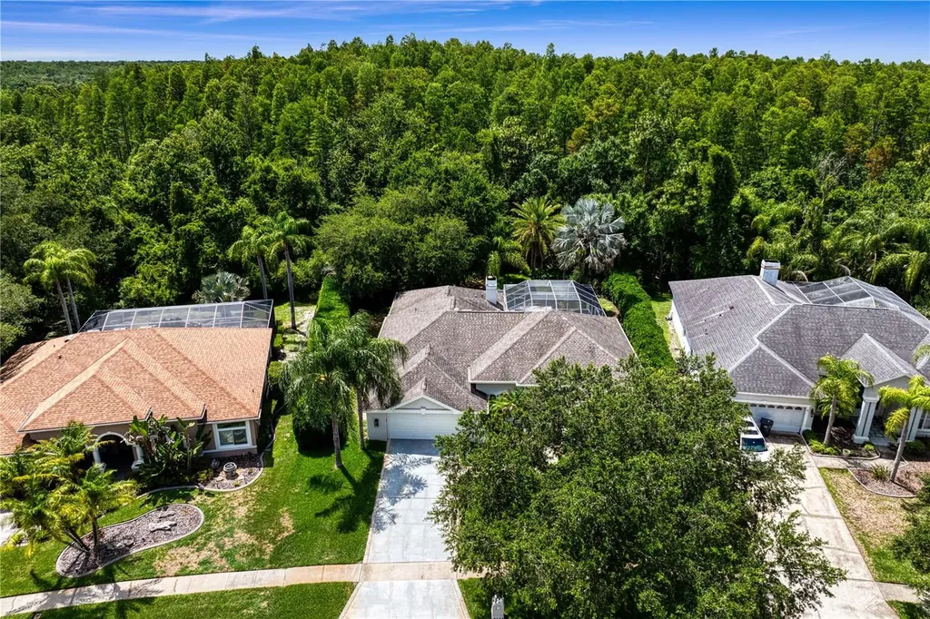 6123 Savoy Circle Lutz FL 33558