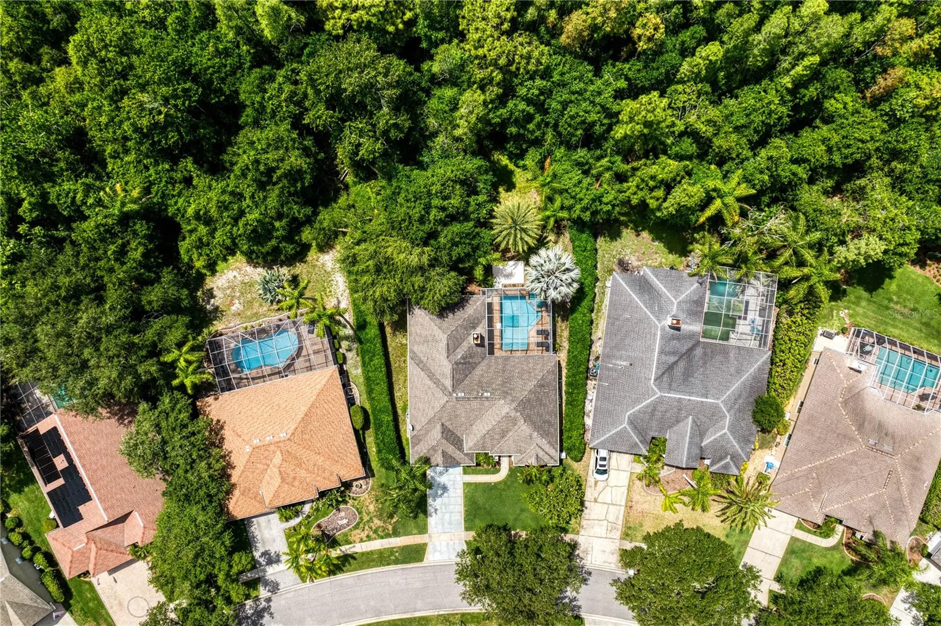 6123 Savoy Circle Lutz FL 33558