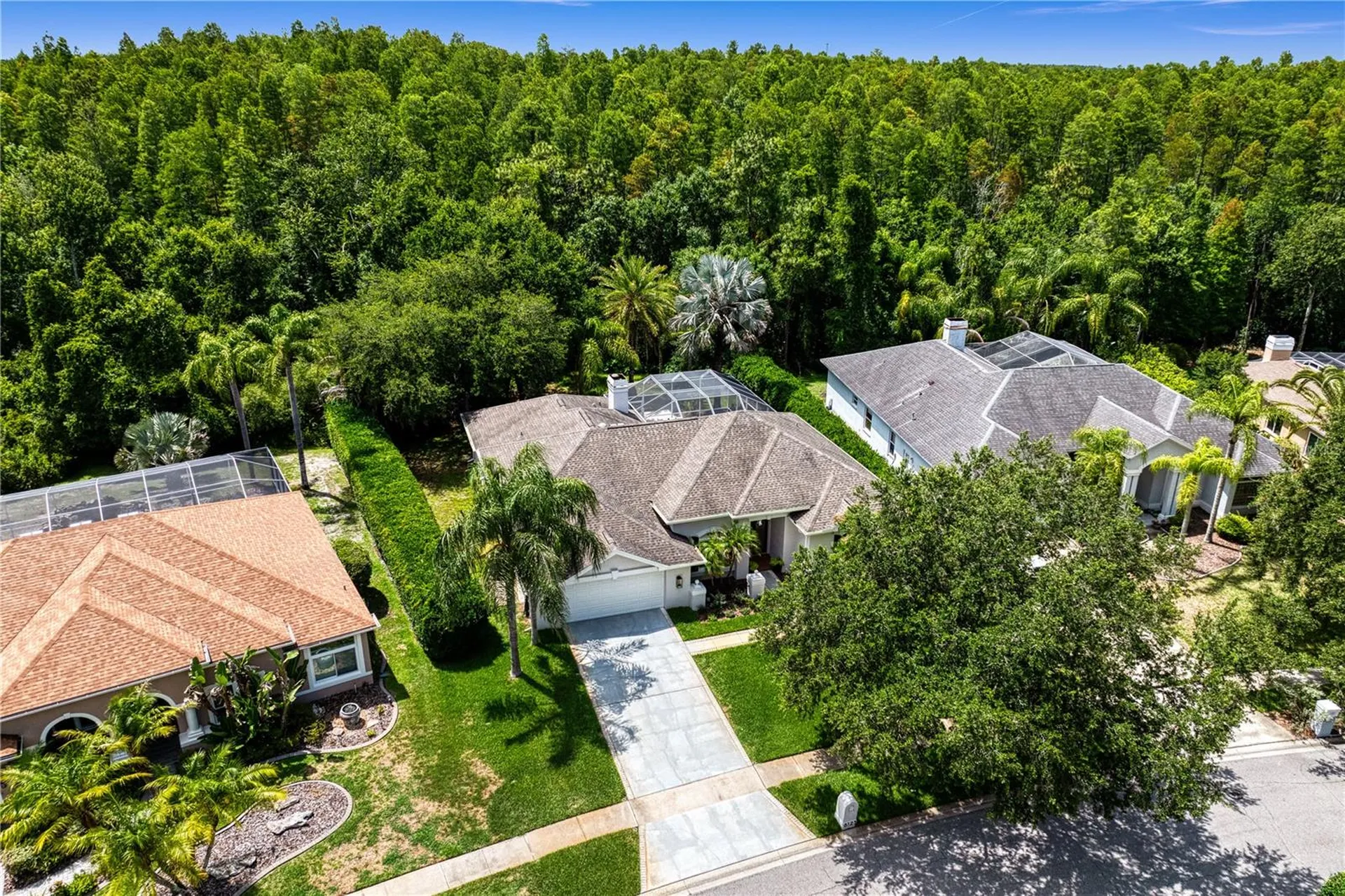 6123 Savoy Circle Lutz FL 33558
