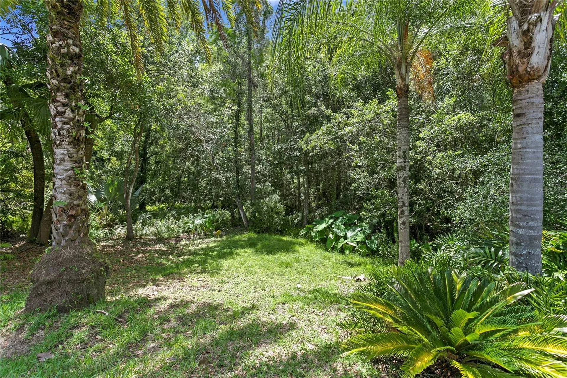 6123 Savoy Circle Lutz FL 33558