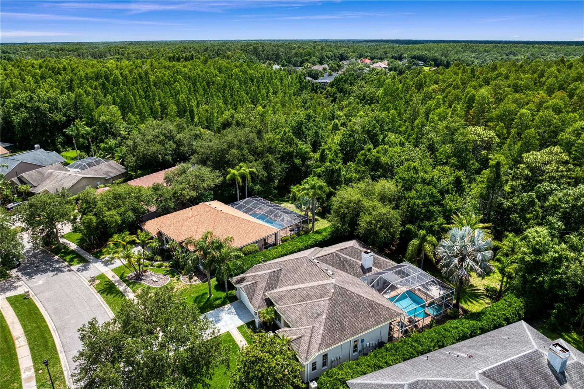6123 Savoy Circle Lutz FL 33558
