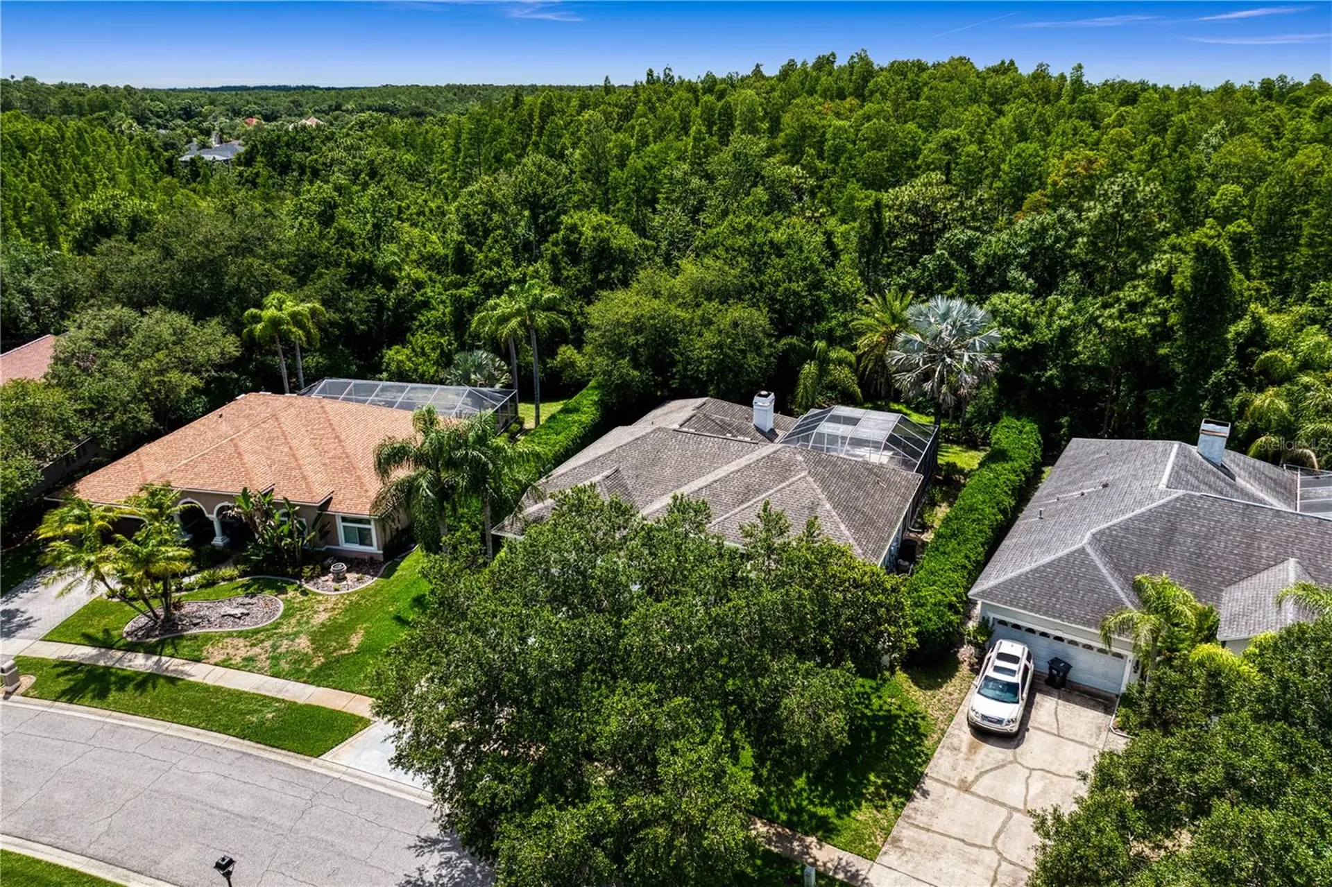 6123 Savoy Circle Lutz FL 33558