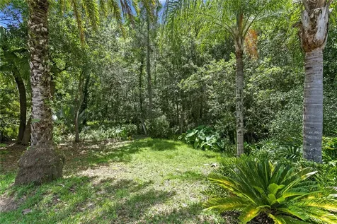 6123 Savoy Circle Lutz FL 33558