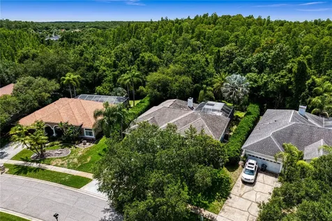 6123 Savoy Circle Lutz FL 33558