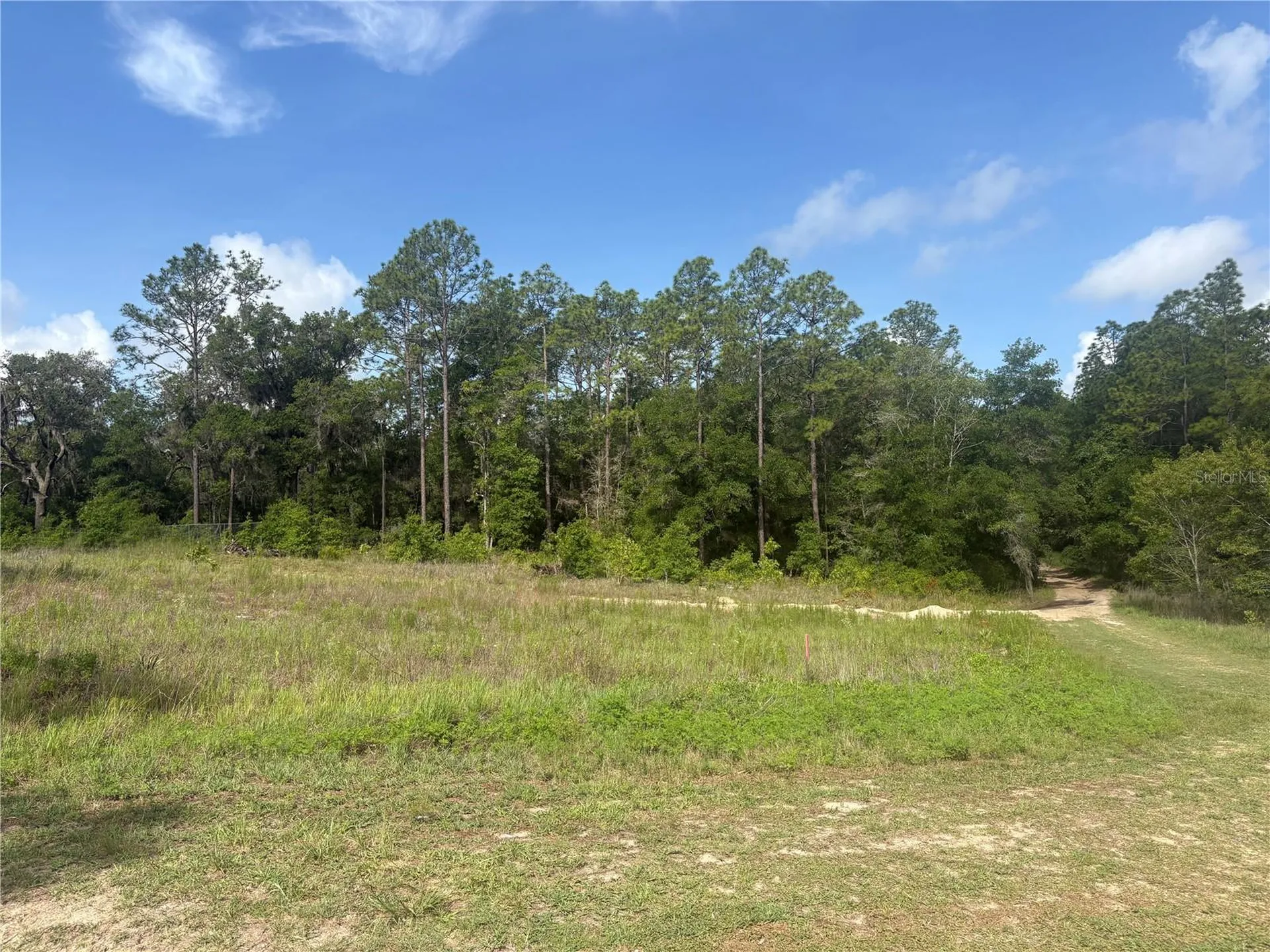 Tbd SW 152 Court Ocala FL 34481