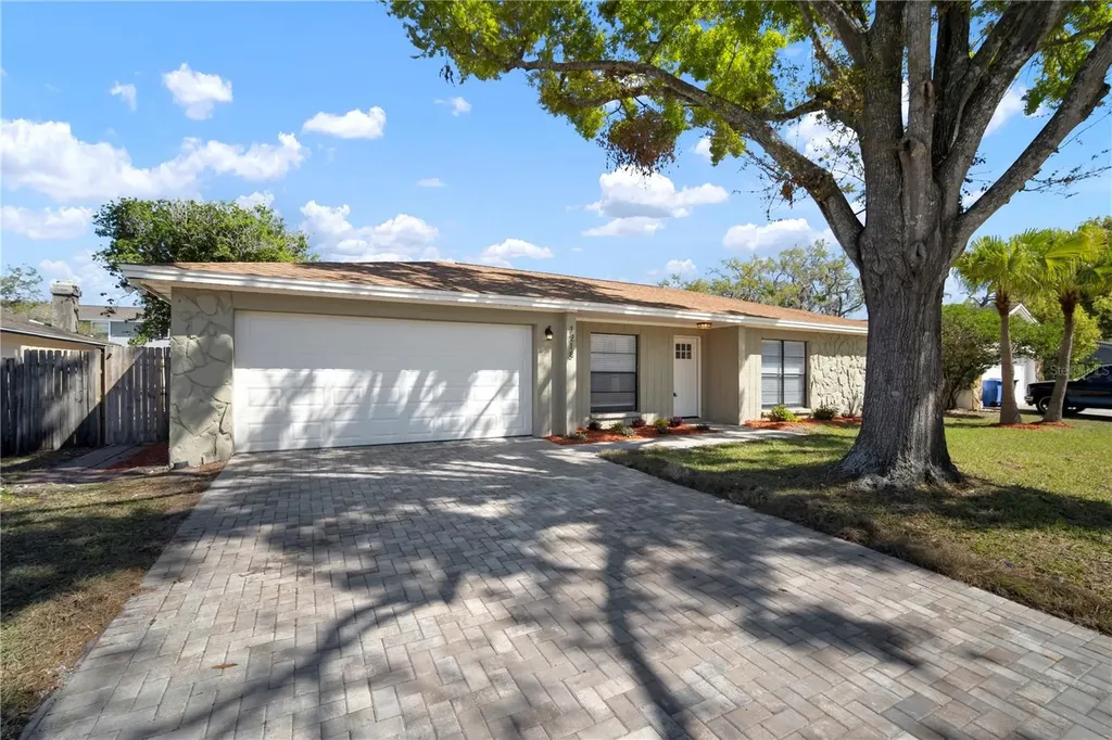 1218 Lornewood Drive Valrico FL 33596