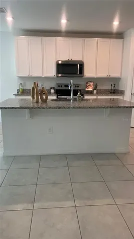 573 Vista Villages Boulevard Davenport FL 33896