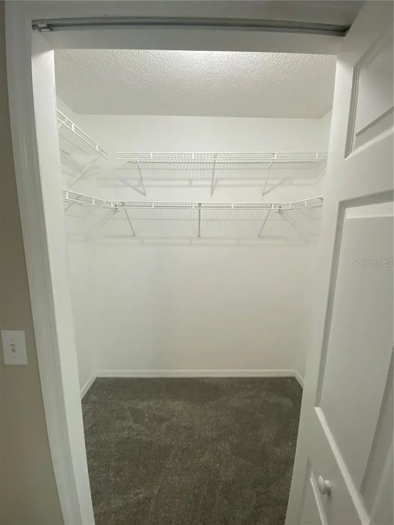 18181 Paradise Point Drive Tampa FL 33647