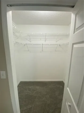 18181 Paradise Point Drive Tampa FL 33647