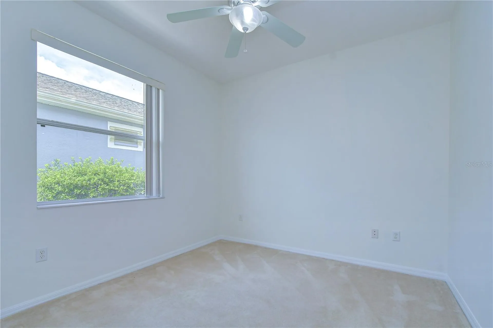 8049 Sanguinelli Road Land O Lakes FL 34637