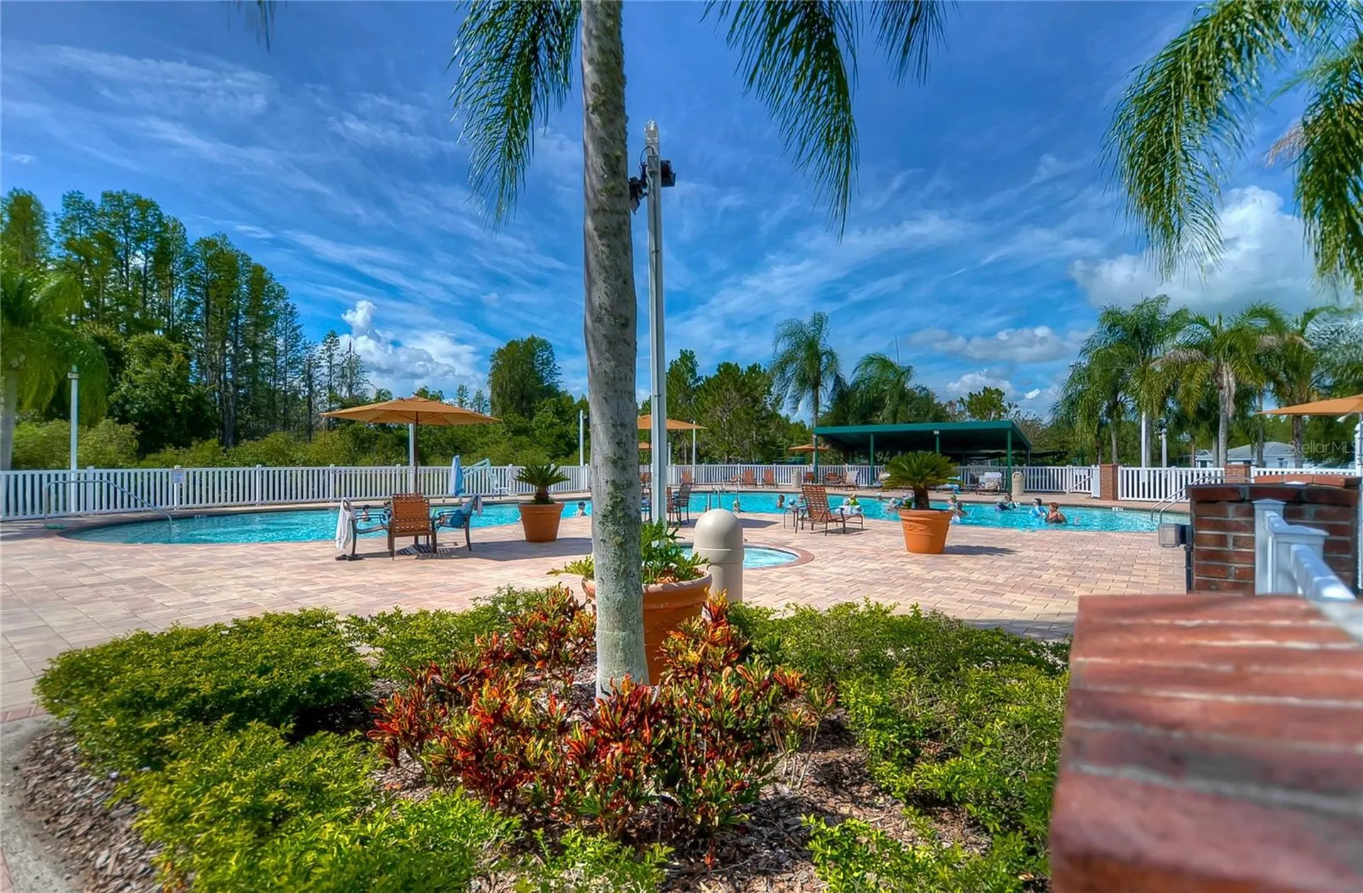 8049 Sanguinelli Road Land O Lakes FL 34637