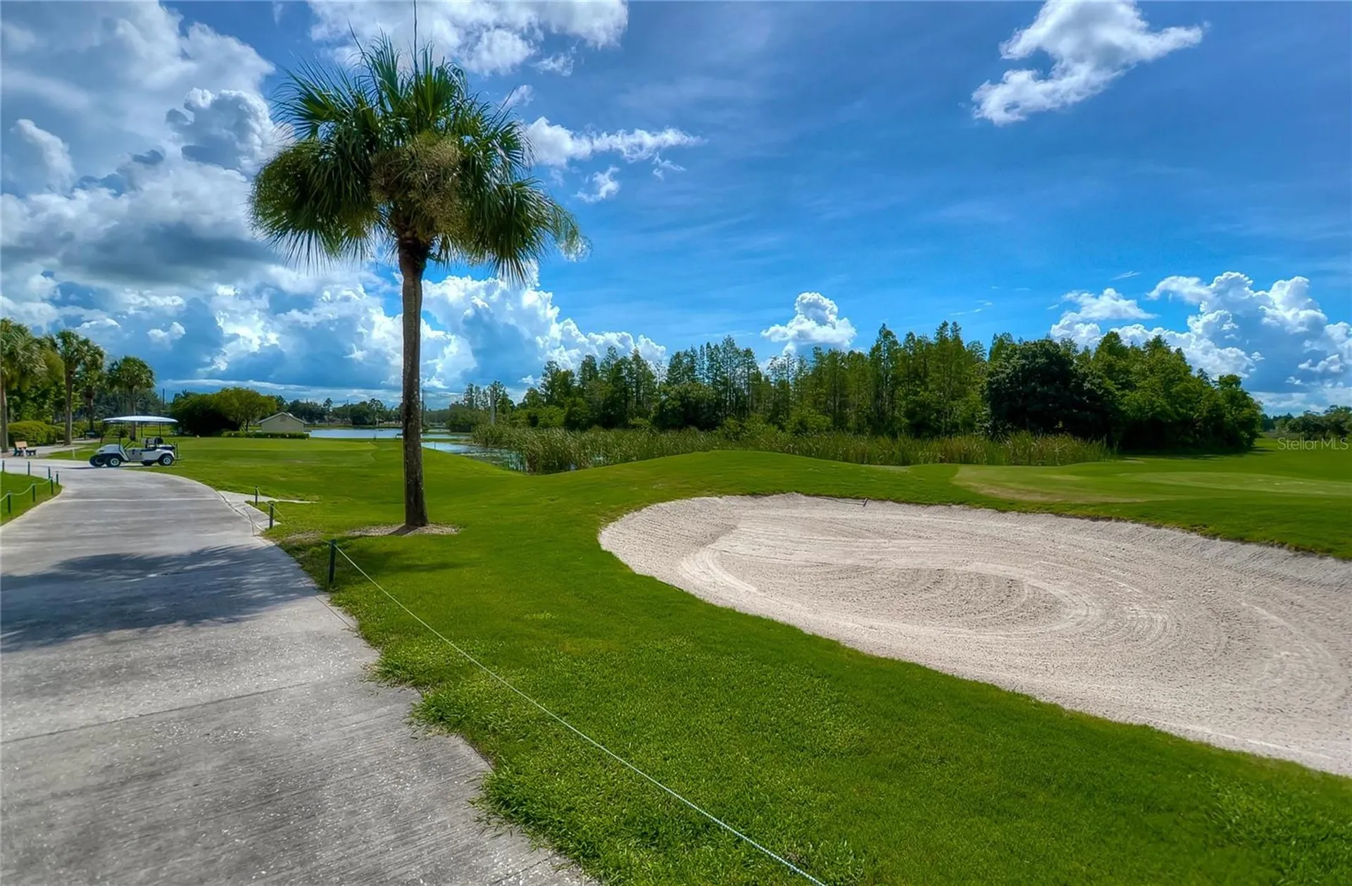 8049 Sanguinelli Road Land O Lakes FL 34637