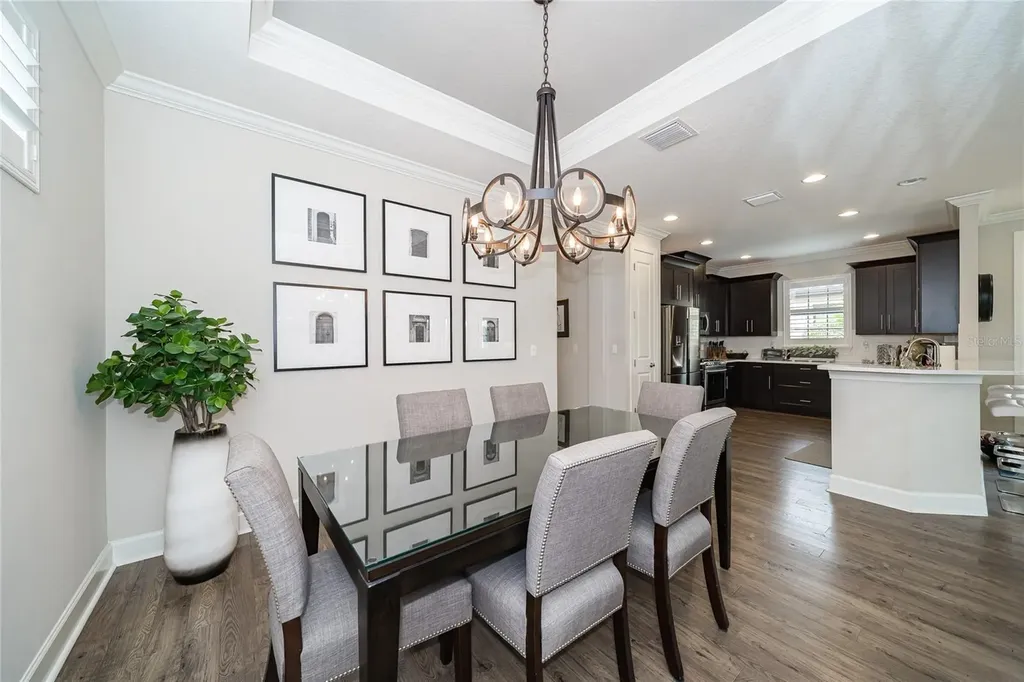 20111 Sorano Hill Place Tampa FL 33647