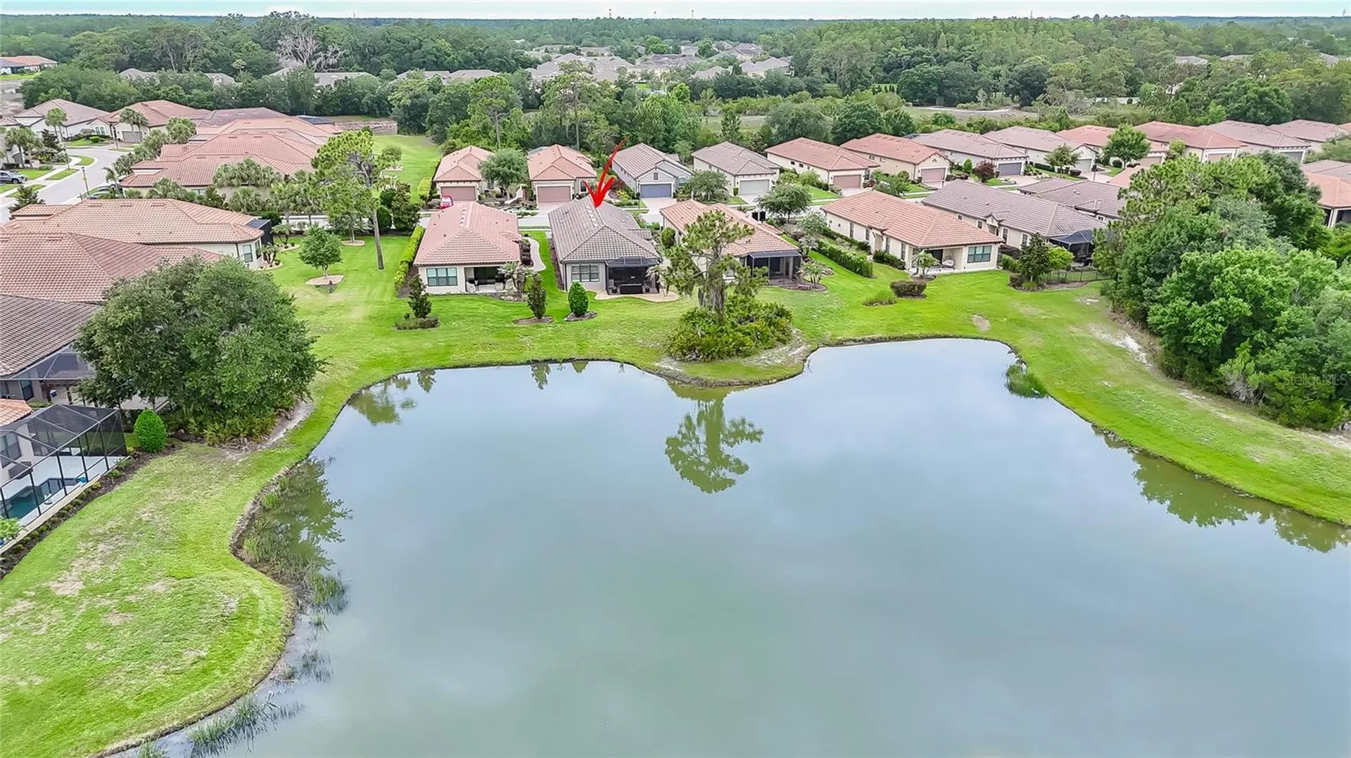 20111 Sorano Hill Place Tampa FL 33647
