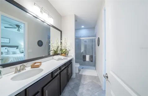 20111 Sorano Hill Place Tampa FL 33647