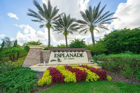 20111 Sorano Hill Place Tampa FL 33647