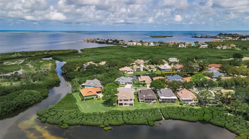 1015 Teal Pointe Tarpon Springs FL 34689