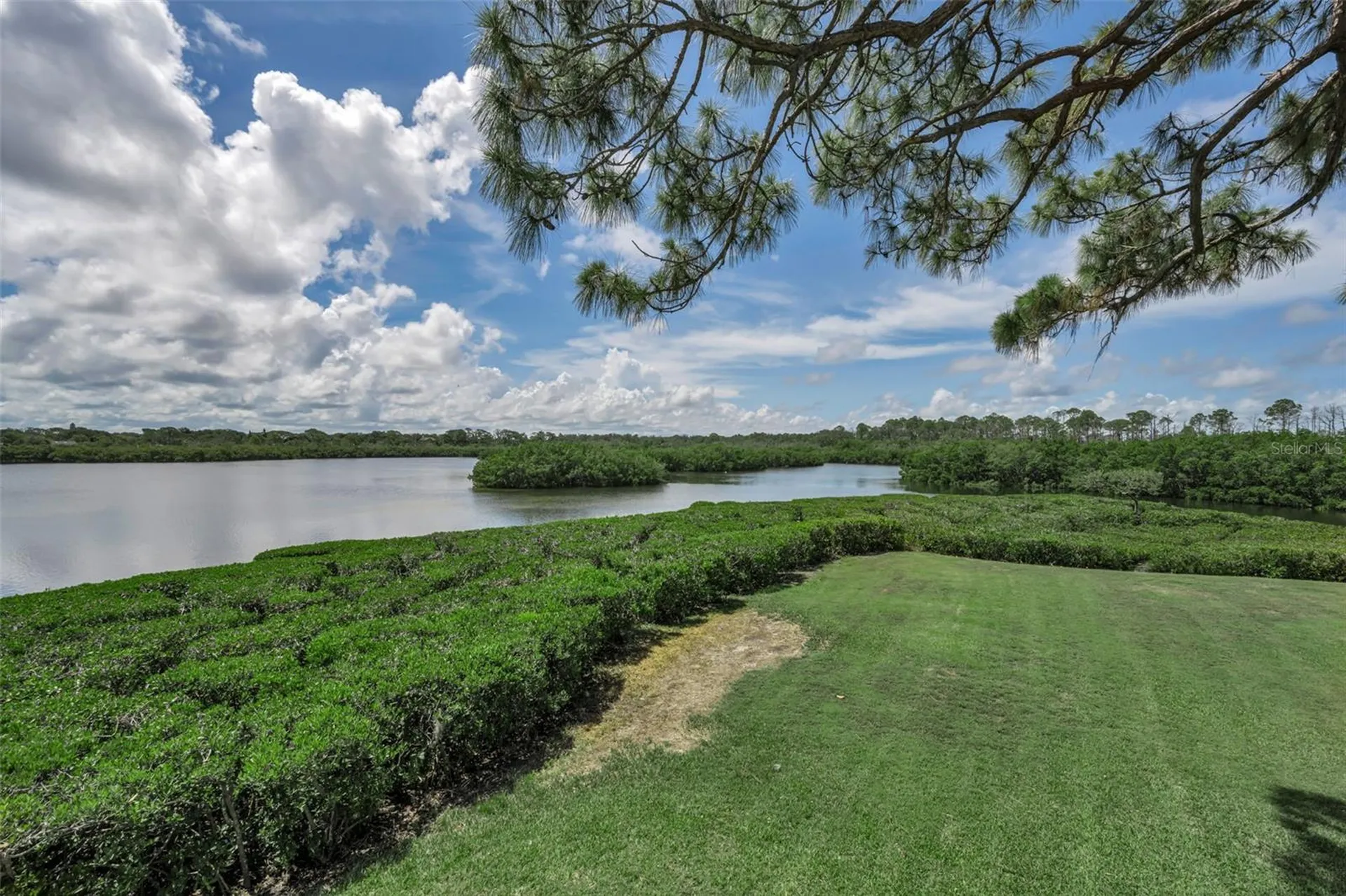 1015 Teal Pointe Tarpon Springs FL 34689
