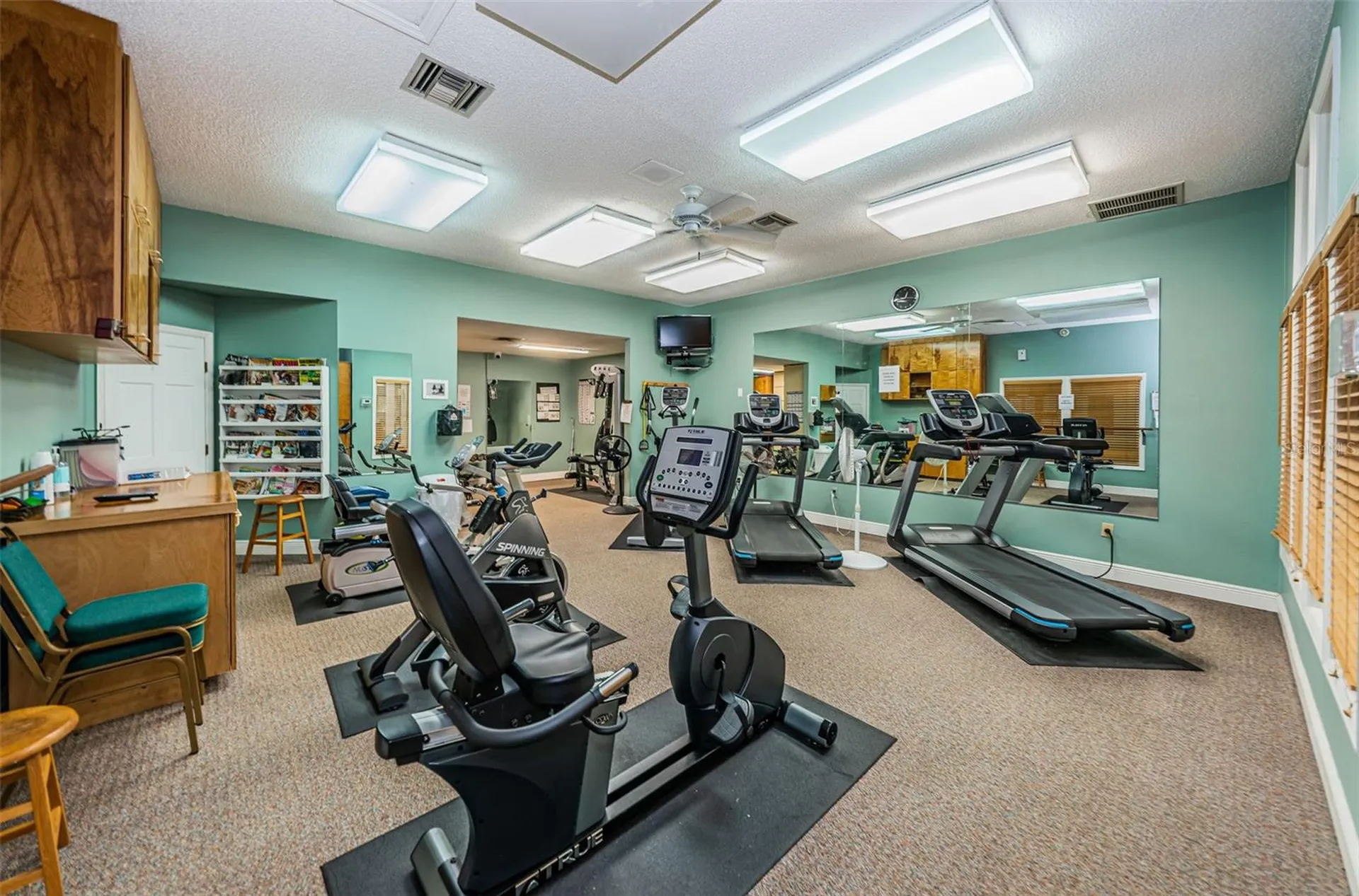 1015 Teal Pointe Tarpon Springs FL 34689