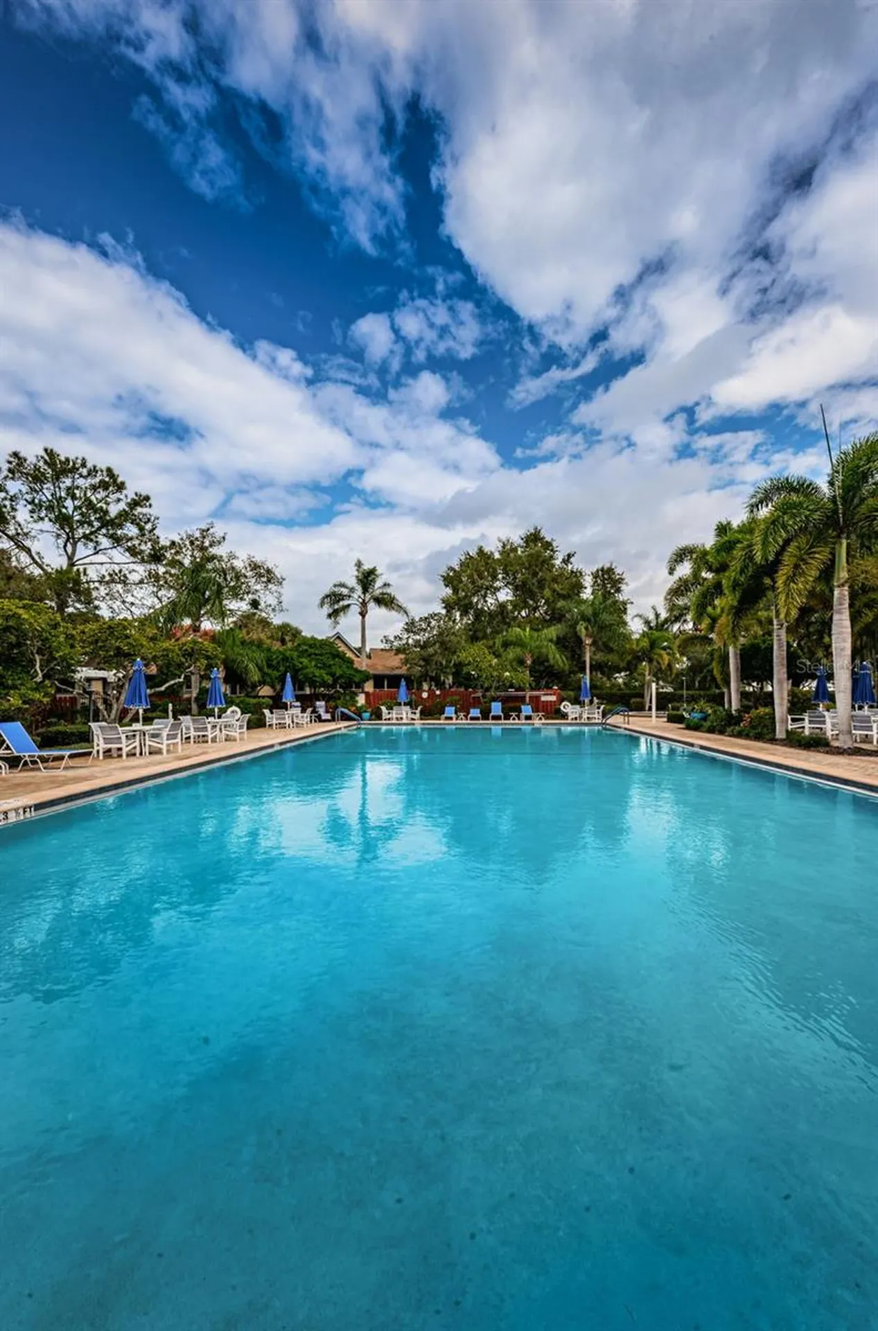 1015 Teal Pointe Tarpon Springs FL 34689