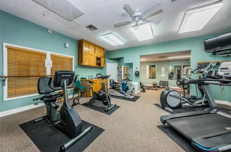 1015 Teal Pointe Tarpon Springs FL 34689
