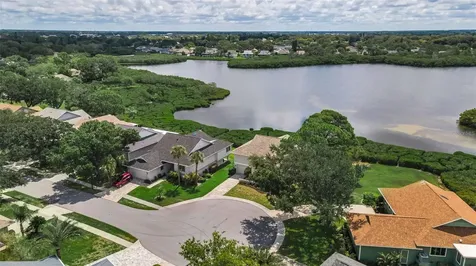 1015 Teal Pointe Tarpon Springs FL 34689