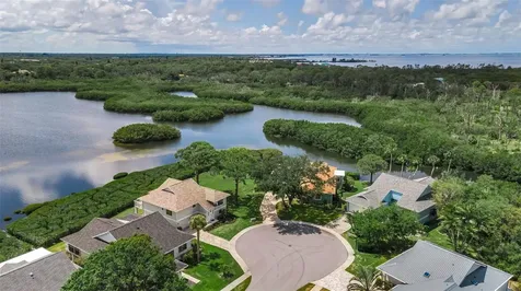 1015 Teal Pointe Tarpon Springs FL 34689