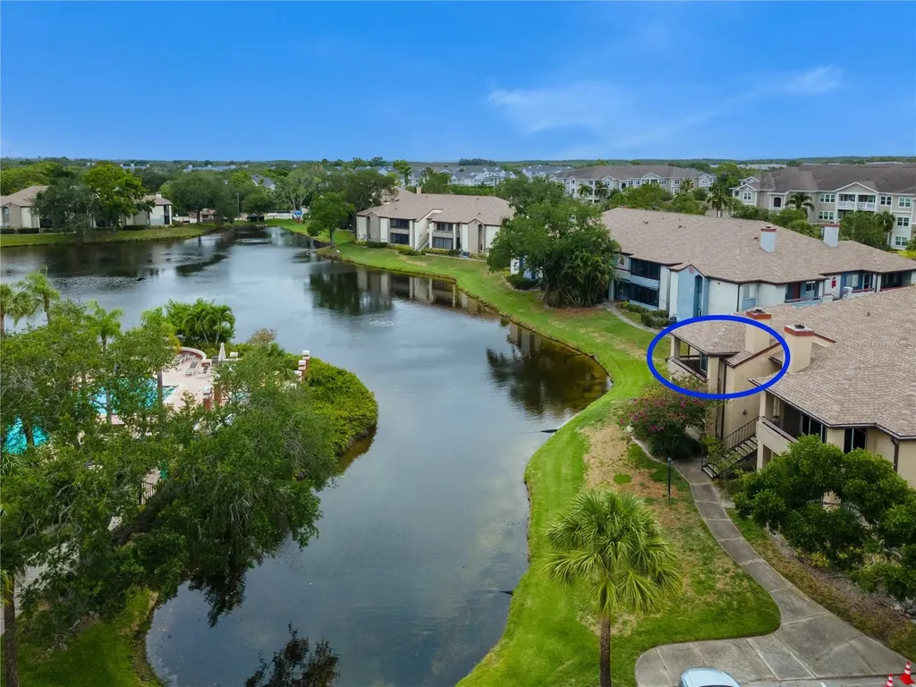 St Petersburg FL 33702