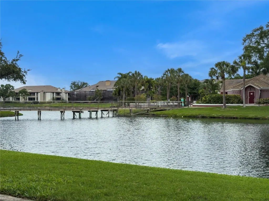 St Petersburg FL 33702