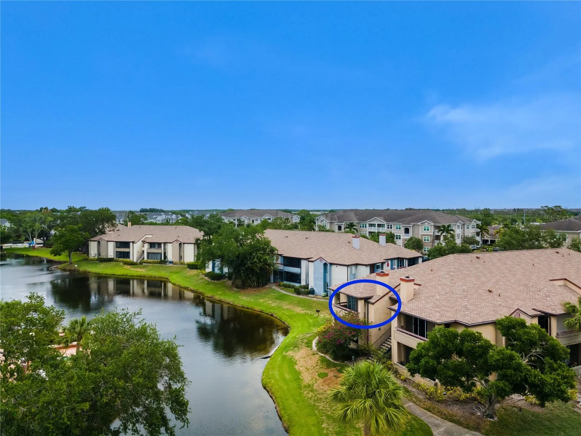St Petersburg FL 33702
