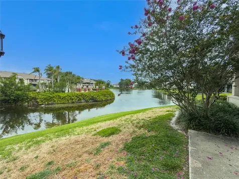 St Petersburg FL 33702