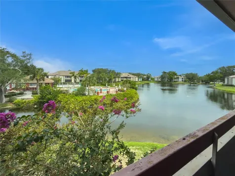 St Petersburg FL 33702