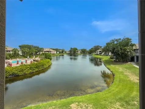 St Petersburg FL 33702