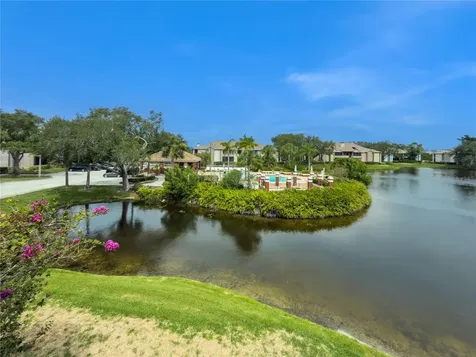 St Petersburg FL 33702