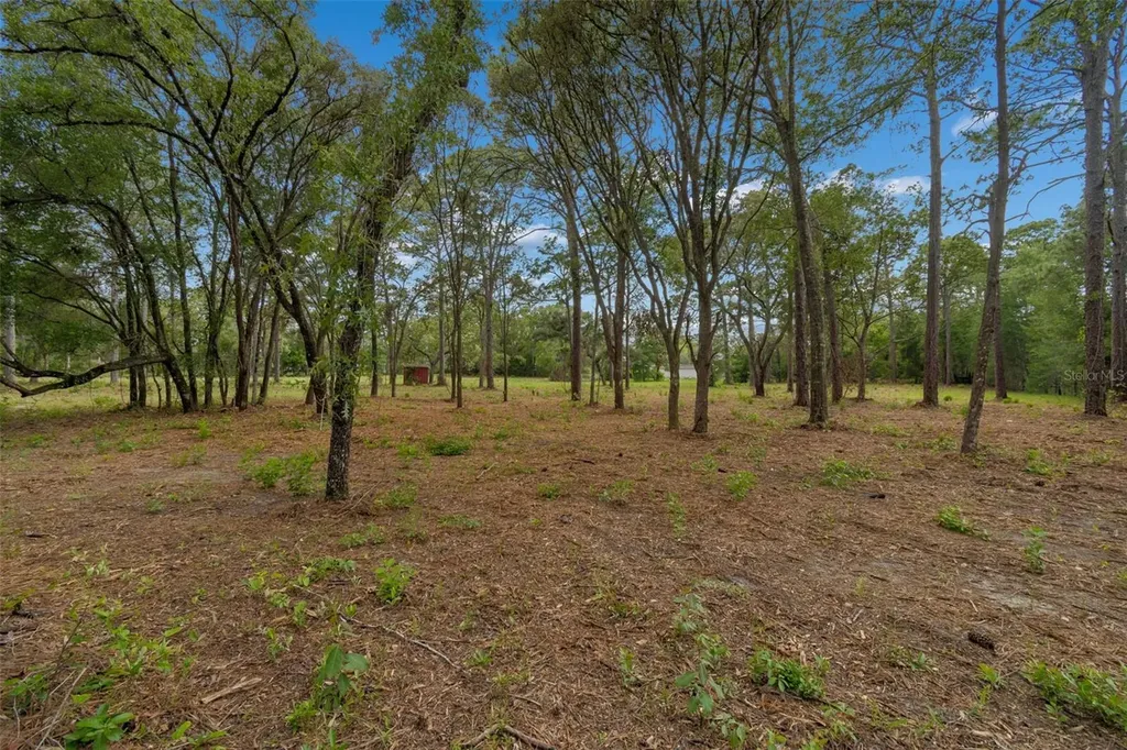 Grove Road Brooksville FL 34613