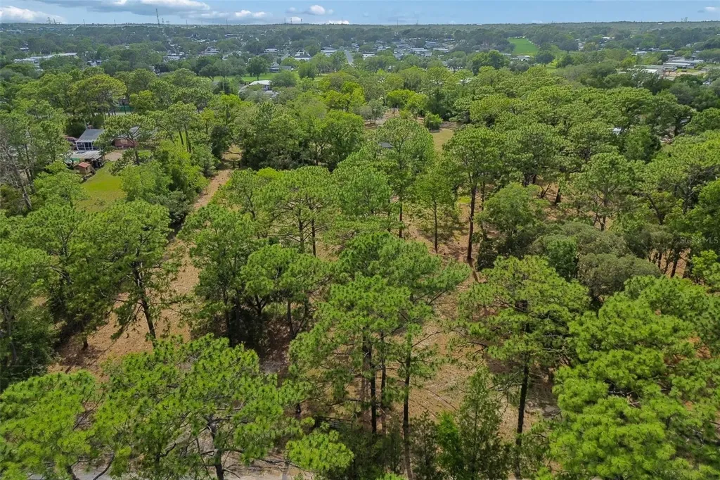 Grove Road Brooksville FL 34613