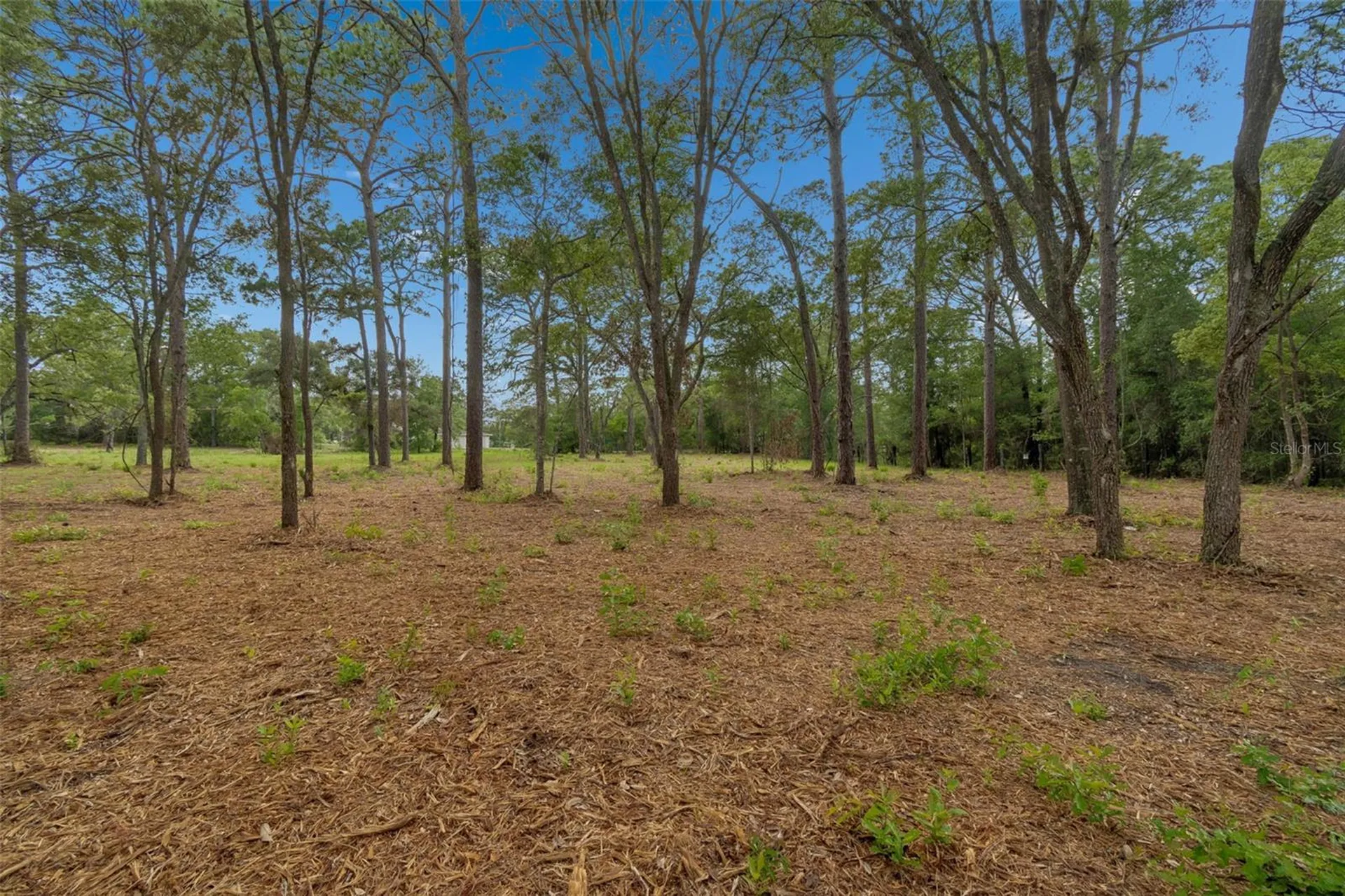 Grove Road Brooksville FL 34613